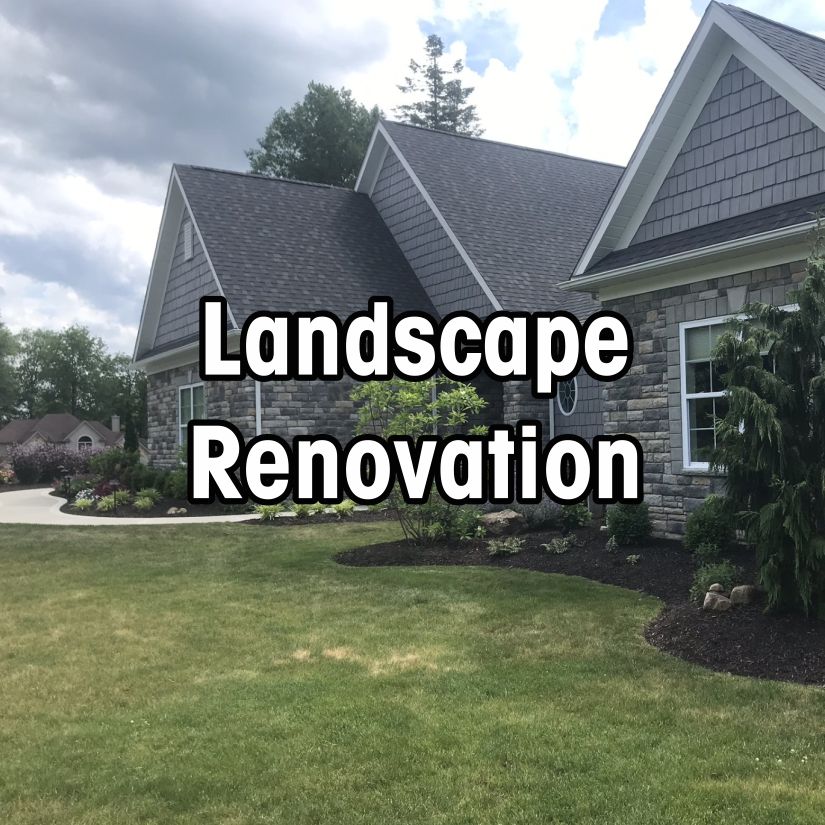 Landscape_Renovation_Norton